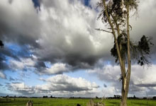 CBA常规赛北控男篮福建男篮.