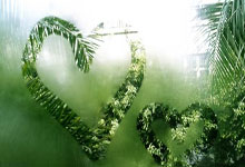 名帅：阿莱格里是米兰开启新周期的完美选择，他能成功激活莱奥.